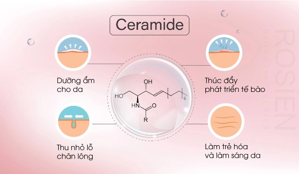 Cách thức hoạt động của Ceramide