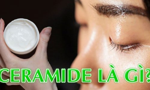 Ceramide là thành phần gì có vai trò gì trong việc dưỡng và chăm sóc làn da