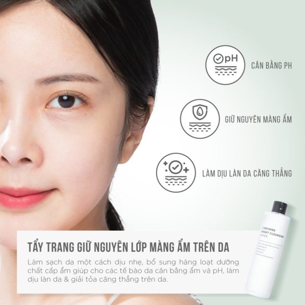 tẩy trang caryophy smart cleansing water