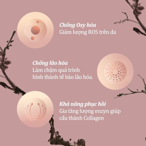 Tinh Chất Sulwhasoo Bloomstay Vitalizing Serum