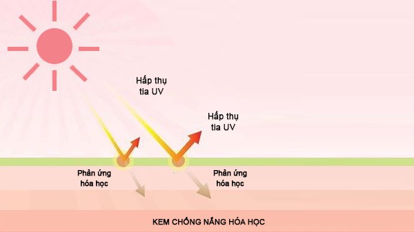 Cơ chế hoạt động của kem chống nắng hoá học