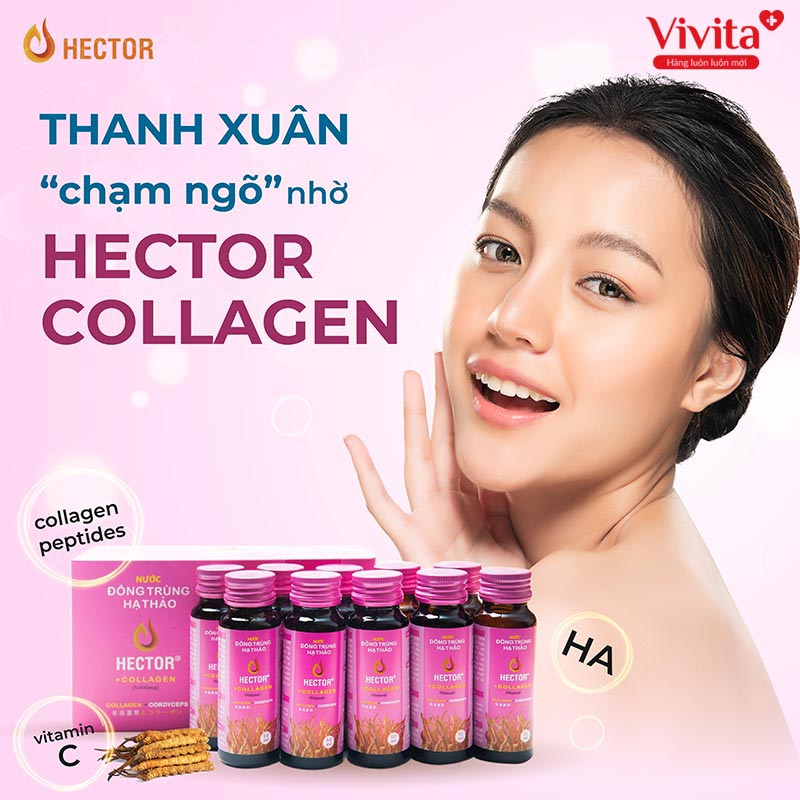 Sản phẩm nước uống Hector Collagen.